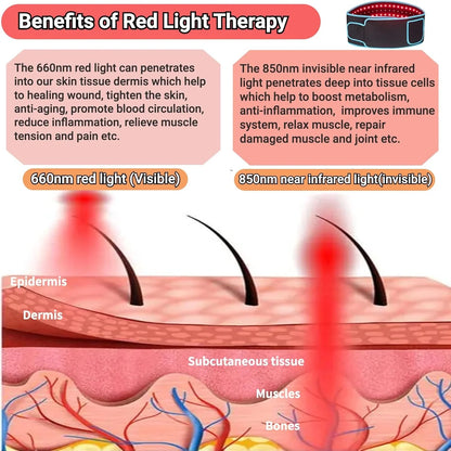 Red Light Therapy LED Belt